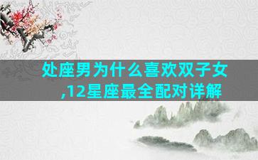 处座男为什么喜欢双子女,12星座最全配对详解