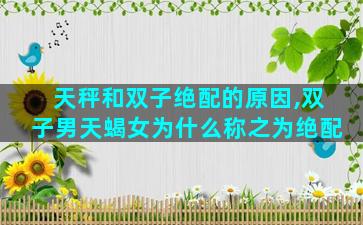 天秤和双子绝配的原因,双子男天蝎女为什么称之为绝配