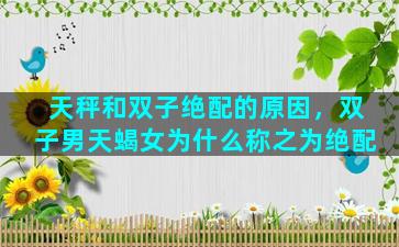 天秤和双子绝配的原因，双子男天蝎女为什么称之为绝配