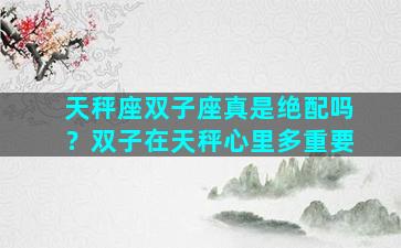 天秤座双子座真是绝配吗？双子在天秤心里多重要