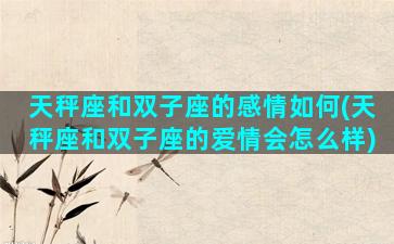 天秤座和双子座的感情如何(天秤座和双子座的爱情会怎么样)