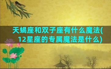 天蝎座和双子座有什么魔法(12星座的专属魔法是什么)