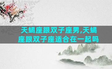 天蝎座跟双子座男,天蝎座跟双子座适合在一起吗