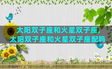 太阳双子座和火星双子座,太阳双子座和火星双子座配吗