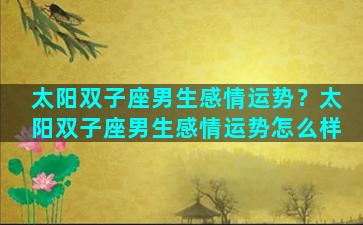 太阳双子座男生感情运势？太阳双子座男生感情运势怎么样
