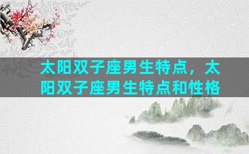 太阳双子座男生特点，太阳双子座男生特点和性格