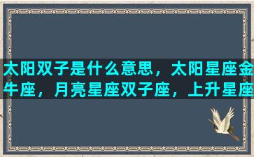 太阳双子是什么意思，太阳星座金牛座，月亮星座双子座，上升星座金牛座的女生是什么性格