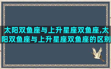 太阳双鱼座与上升星座双鱼座,太阳双鱼座与上升星座双鱼座的区别