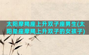 太阳摩羯座上升双子座男生(太阳星座摩羯上升双子的女孩子)