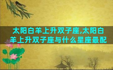 太阳白羊上升双子座,太阳白羊上升双子座与什么星座最配