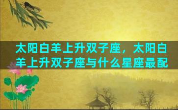 太阳白羊上升双子座，太阳白羊上升双子座与什么星座最配