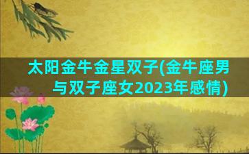 太阳金牛金星双子(金牛座男与双子座女2023年感情)