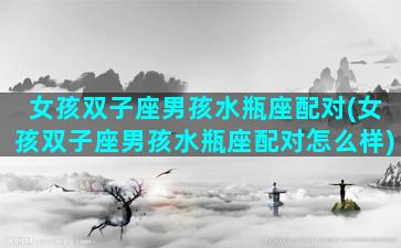 女孩双子座男孩水瓶座配对(女孩双子座男孩水瓶座配对怎么样)
