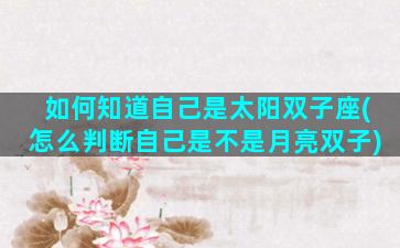 如何知道自己是太阳双子座(怎么判断自己是不是月亮双子)