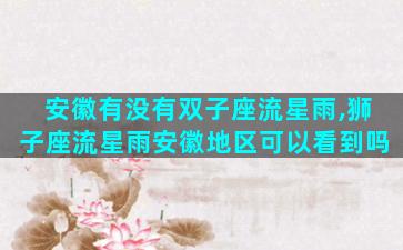 安徽有没有双子座流星雨,狮子座流星雨安徽地区可以看到吗