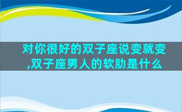 对你很好的双子座说变就变,双子座男人的软肋是什么