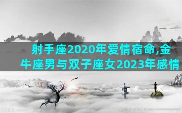 射手座2020年爱情宿命,金牛座男与双子座女2023年感情