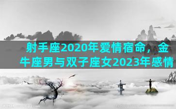 射手座2020年爱情宿命，金牛座男与双子座女2023年感情