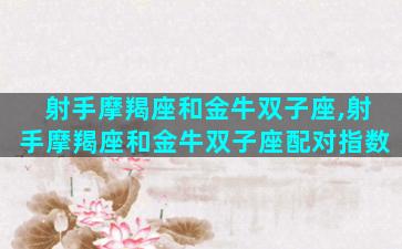 射手摩羯座和金牛双子座,射手摩羯座和金牛双子座配对指数