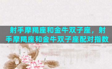 射手摩羯座和金牛双子座，射手摩羯座和金牛双子座配对指数