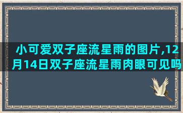 小可爱双子座流星雨的图片,12月14日双子座流星雨肉眼可见吗