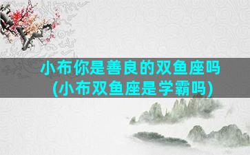 小布你是善良的双鱼座吗(小布双鱼座是学霸吗)