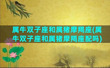 属牛双子座和属猪摩羯座(属牛双子座和属猪摩羯座配吗)