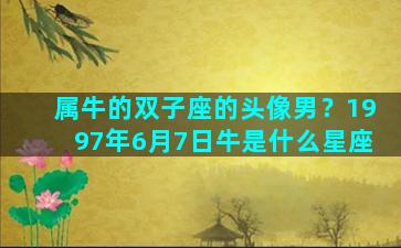 属牛的双子座的头像男？1997年6月7日牛是什么星座