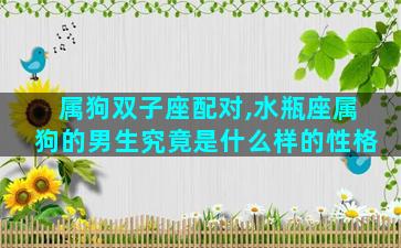 属狗双子座配对,水瓶座属狗的男生究竟是什么样的性格