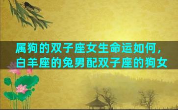 属狗的双子座女生命运如何，白羊座的兔男配双子座的狗女