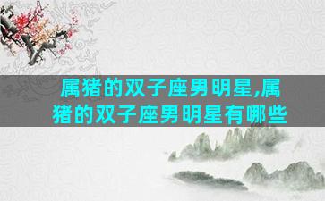 属猪的双子座男明星,属猪的双子座男明星有哪些