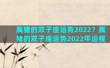 属猪的双子座运势2022？属猪的双子座运势2022年运程