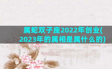 属蛇双子座2022年创业(2023年的属相是属什么的)