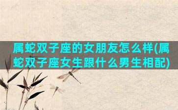 属蛇双子座的女朋友怎么样(属蛇双子座女生跟什么男生相配)