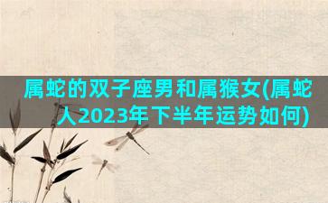 属蛇的双子座男和属猴女(属蛇人2023年下半年运势如何)