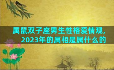 属鼠双子座男生性格爱情观,2023年的属相是属什么的