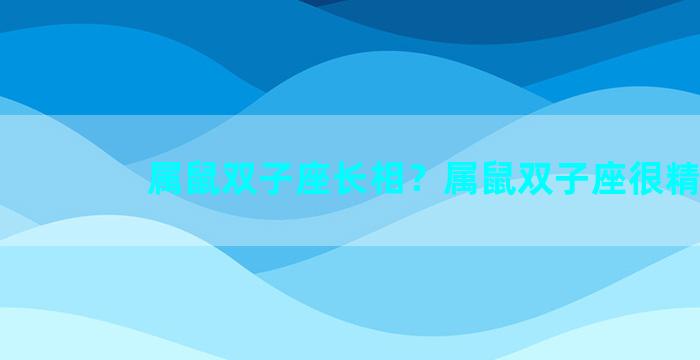 属鼠双子座长相？属鼠双子座很精