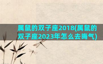 属鼠的双子座2018(属鼠的双子座2023年怎么去晦气)