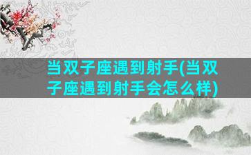 当双子座遇到射手(当双子座遇到射手会怎么样)