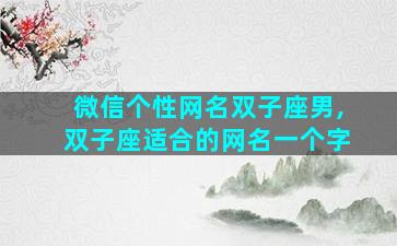微信个性网名双子座男,双子座适合的网名一个字