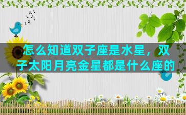 怎么知道双子座是水星，双子太阳月亮金星都是什么座的