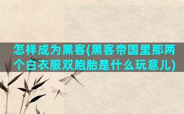 怎样成为黑客(黑客帝国里那两个白衣服双胞胎是什么玩意儿)