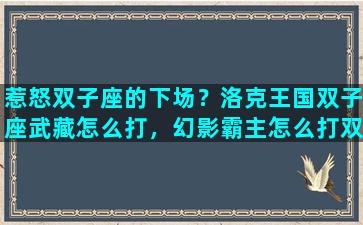 惹怒双子座的下场？洛克王国双子座武藏怎么打，幻影霸主怎么打双子座武藏