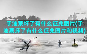 手油泵坏了有什么征兆图片(手油泵坏了有什么征兆图片和视频)