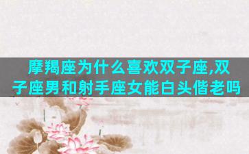 摩羯座为什么喜欢双子座,双子座男和射手座女能白头偕老吗