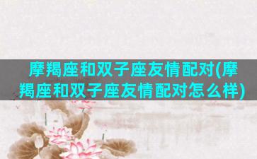 摩羯座和双子座友情配对(摩羯座和双子座友情配对怎么样)