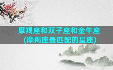 摩羯座和双子座和金牛座(摩羯座最匹配的星座)