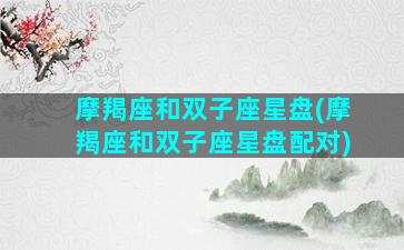摩羯座和双子座星盘(摩羯座和双子座星盘配对)