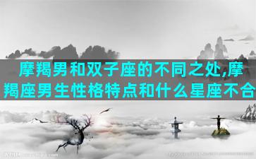 摩羯男和双子座的不同之处,摩羯座男生性格特点和什么星座不合