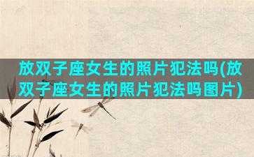 放双子座女生的照片犯法吗(放双子座女生的照片犯法吗图片)